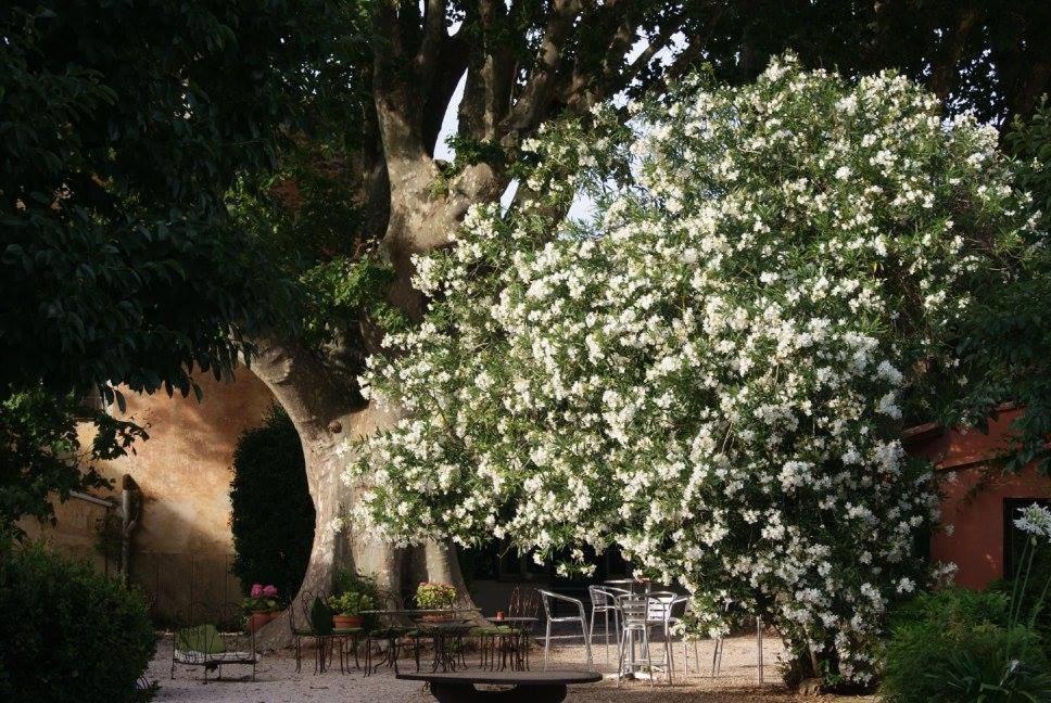 Le Bourguet Bed & Breakfast Sollies Pont Luaran gambar